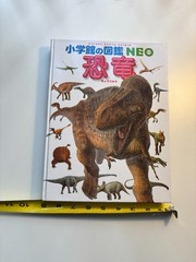 Japanese Childrens Dinasars book Shogakukan Encyclopedia NEO 180 pages