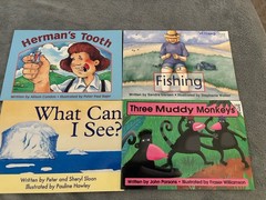 Lot Of 23 Emergent Readers, The Wright Group, Faiundational Series
