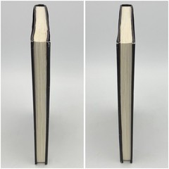 Literotica: The Very Best of literotica.com – edited by Lori Selke (BB, 2002)