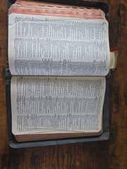 Holy Bible Self Pronouncing With the Words of Christ Printed in Red vintage