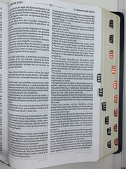 Biblia Bilingüe RVR 1960/KJV Negro Imitación Piel con índice bilingual bible