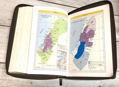 Библия Russian Bible large print Большой формат золотой срез​ индексы молния