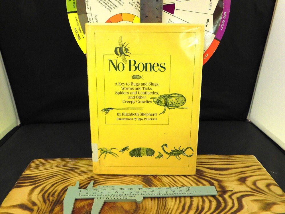No Bones: A Key to Bugs and Slugs, Worms and Ticks, Spiders and Centipedes, Othr