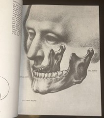 Drawing the Human Head by Burne Hogarth PB – Good