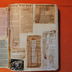 VTG My Recipes CookBook with Handwritten Recipes and Clippings approx 112 pages