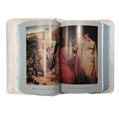 Holy Bible Illustrated Prince Of Peace Catholic 1966 Edition in Wooden Cedar Box