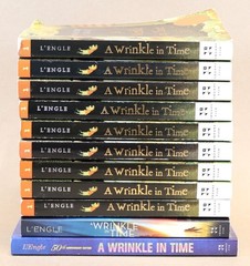 Lot of 11 A Wrinkle In Time by Madeleine L’Engle GUIDED READING Teachers Set