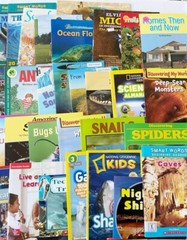 Lot/Bundle of 20 Assorted Paperback Non Fiction Science Books for Little Kids
