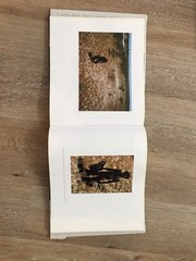 The Life of a Photograph by Sam Abell (2008, Hardcover)