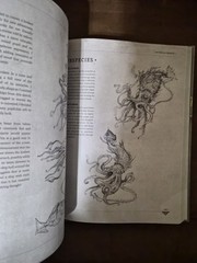 Mythical Beasts: An Artist’s Field Guide to Designing Fantasy Creatures 3dtotal