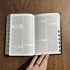 ESV Thinline Bible Thumb Indexed – 2025 Text – Espresso TruTone