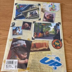 Disney UP Clear File Double-sided Print Rare Collectible