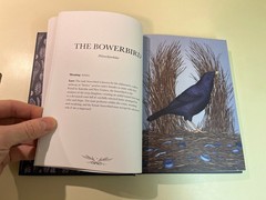Ornithography Illustrated Guide to Bird Lore & Symbolism, Jessica Roux Hardcover