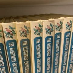 Illustrated Encyclopedia of Animal Life 16 Volume Set 1961 Greystone Press HC