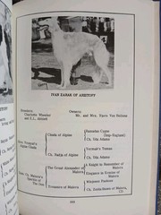 All About Borzoi Club of Northern California HC 1968 VGC Illustrated