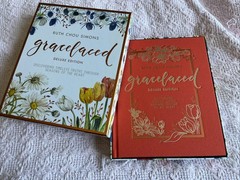 GraceLaced Deluxe Edition by Ruth Chou Simons (2020, Hardcover)