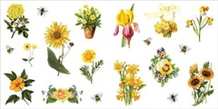 Bunches of Botanicals Sticker Book (Over 500 stickers!) – NEW