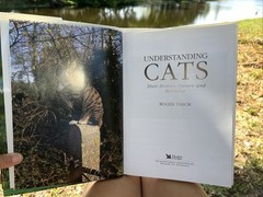 Understanding Cats: Their History, Nature, and Behavior by Tabor, Roger HB DJ