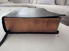 NLT Filament Bible (Hardcover Leather-Like, Black): Premium Bible