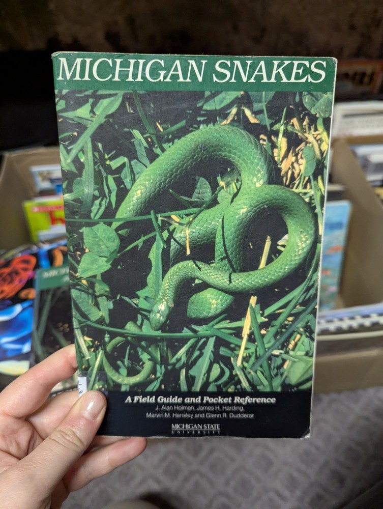 Michigan Snakes By Alan J. Holman