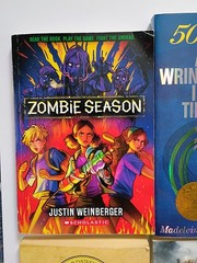 Lot of 10 Young Adult YA Books – Teen Fiction Novels Mixed Genres Bulk Lot