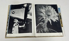 Israel 10th ANNIVERSARY,Judaica Book,w Photos,Hebrew, David Ben Gurion, 1958
