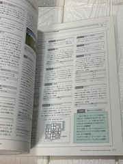 Final Fantasy XI Guide 2013 Weapons & Armor Navigation Game Strategy 8.27 x 11 i