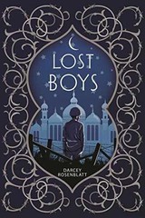 Lost Boys – Hardcover, by Rosenblatt Darcey – Very Good b