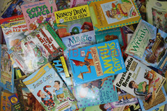 Lot of 30 Children’s Kids Chapter Books Instant Library Variety Bundle