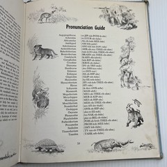 Album of Prehistoric Animals by Tom McGowen (1975) Vintage, Dinosaurs, Education