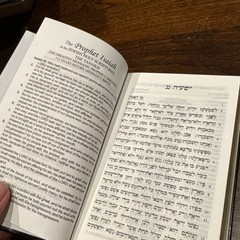 Hebrew-English New Covenant Prophecy Edition (Hope of Israel, 2009) Hardcover