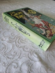 GNOME King of Oz ~ Ruth Plumly Thompson 12 COLOR PLATES 1927 John R. Neill