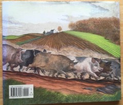 Hog Music by M.C. Helldorfer Illustrated by S.D. Schindler (Hardcover)
