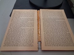Vintage Book Lot- Scarlett Letter, Mean As Hell, The Girls At Mount Morris,