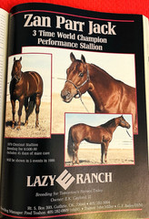 SALE ENDS 6/15! 1986 QUARTER HORSE JOURNAL Book – DYNAMIC DELUXE, ZAN PARR BAR