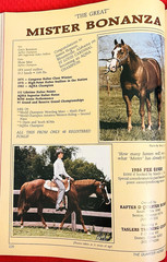 SALE ENDS 6/15! 1986 QUARTER HORSE JOURNAL Book – DYNAMIC DELUXE, ZAN PARR BAR