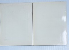 Library Great Painters Portfolio Edition Art Two Book Set Van Gogh Picasso