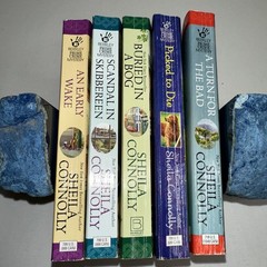 Lot of 5 (4 County Cork Mystery Series Books) & Picked To Die by Sheila Connolly
