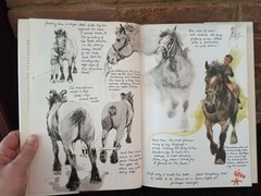 The Farm Book by Rien Poortvliet 1980 – 216 Color Illustrations –HC w/DJ VG Cond