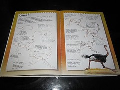 Terry Longhurst „I Can Draw..” Youth Young Adult Book Art Artwork Animals People