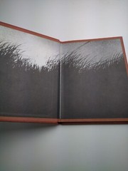 To See a World in a Grain of Sand by Caesar Johnson, 1972, 61 pages, Hardcover