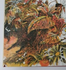 E.T.A. Hoffman The Child From Far Away Children’s Picture Book 1st Edition Vtg