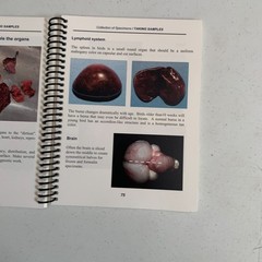 A Field Manual For Collection Of Speciments To Enhance Diagnosis Of Animal Disea