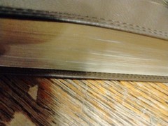 The Prayer Bible Pray Gods Wor – Leather Bound – GOOD CLEAN