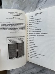 Fall Of Babel At The Time Of The End LEW. WHITE
