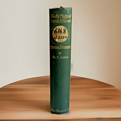 Atlas of Normal and Pathological Nervous Systems ~ 1896 ~ C. Jakob ~ Color Illus