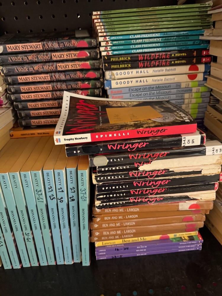 Lot of 30 RANDOM YOUTH Kids Chapter Books Instant Library Bundle