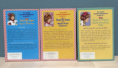 Junie B. Jones Book Series Mixed Set Lot Of 16 By Barbara Park VTG Scholastic