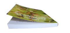 Donald Featherstone’s Solo Wargaming 2009 Paperback Edited by John Curry