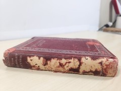 Vintage Scarlet Letter Nathaniel Hawthorne Hardcover Book 2nd ED by ALTEMUS_BK